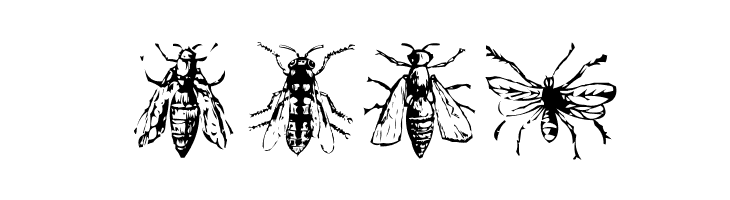 AEZinsects  Free Fonts Download