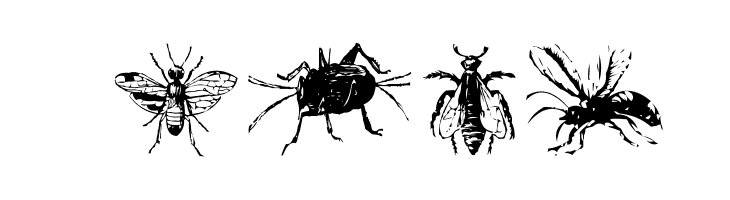 AEZinsects  Free Fonts Download