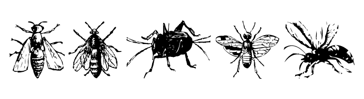 AEZinsects  Free Fonts Download