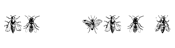 AEZinsects  Free Fonts Download