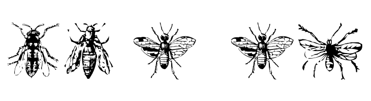 AEZinsects  Free Fonts Download