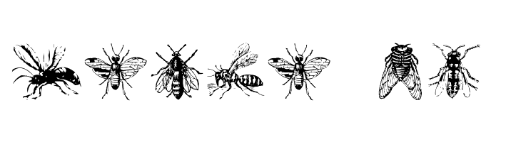 AEZinsects  Free Fonts Download