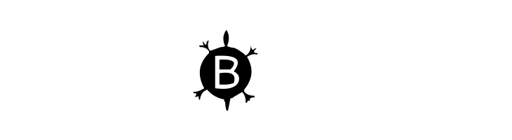 AEZ Native American Turtle  Free Fonts Download