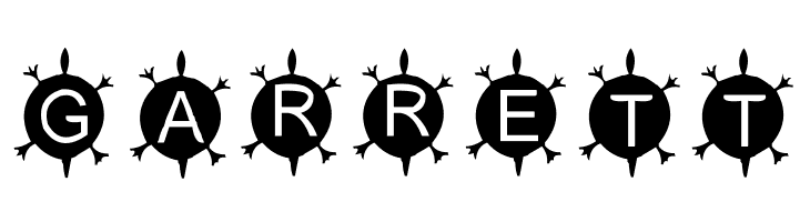 AEZ Native American Turtle  Free Fonts Download