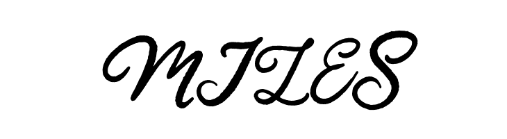 HardestStyleDemo  Free Fonts Download