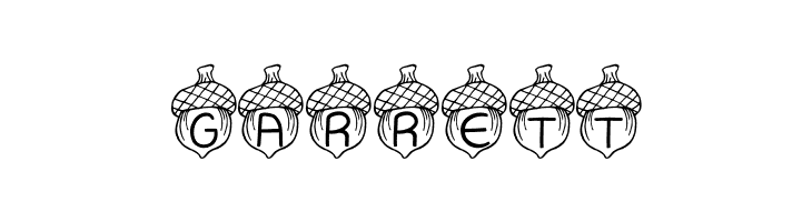 JI Acorn  Free Fonts Download
