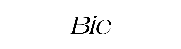 Broadsheet LDO Italic  Free Fonts Download