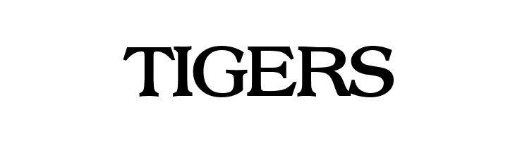 Broadsheet LDO Bold  Free Fonts Download