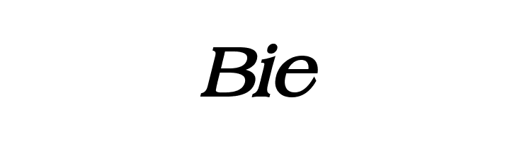 Broadsheet LDO Bold Italic  Free Fonts Download