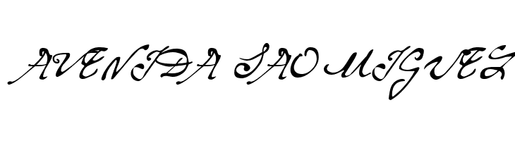 Same-Sex Marriage Script LDO  Free Fonts Download