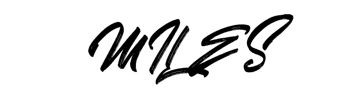 Skywalker Free Demo  Free Fonts Download