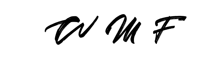 Skywalker Free Demo  Free Fonts Download