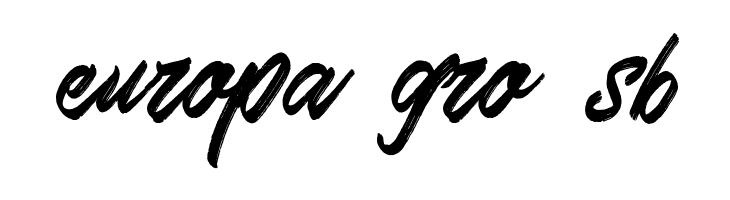 Skywalker Free Demo  Free Fonts Download