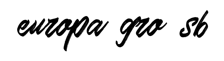 SkywalkerFreeDemo  Free Fonts Download