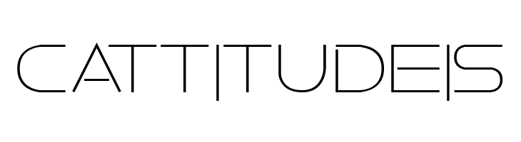 Faxine Sky Bold  Free Fonts Download