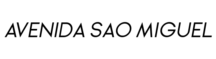 Ginora Sans Oblique  Free Fonts Download