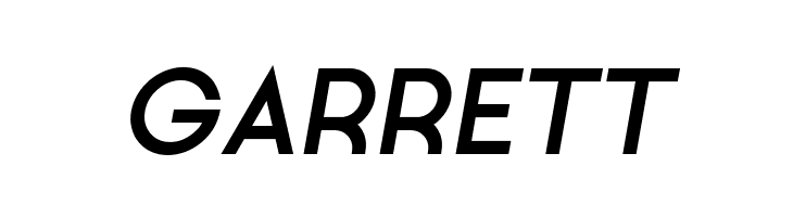 Ginora Sans Bold Oblique  Free Fonts Download