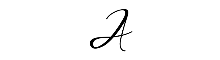 Love Amsterdam Script Regular  Free Fonts Download
