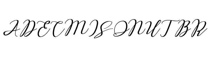 Love Amsterdam Script Regular  Free Fonts Download