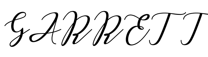 Love Amsterdam Script Regular  Free Fonts Download