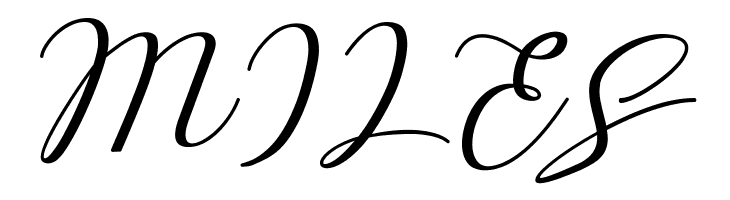 Love Amsterdam Script Regular  Free Fonts Download