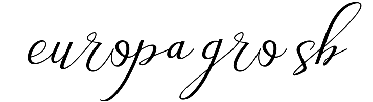 Love Amsterdam Script Regular  Free Fonts Download