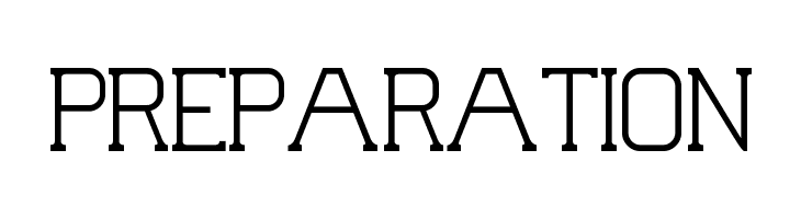 Palacio Book  Free Fonts Download