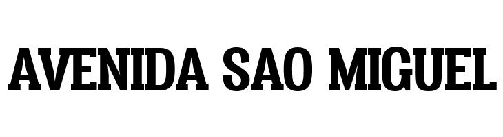 Vacer Serif Personal Bold  Free Fonts Download