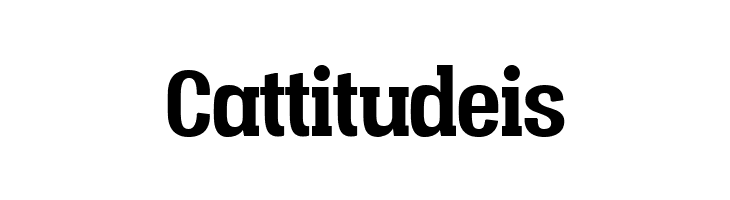 Vacer Serif Personal Bold  Free Fonts Download