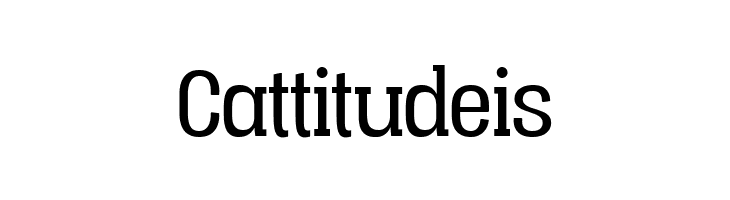 Vacer Serif Personal Book  Free Fonts Download