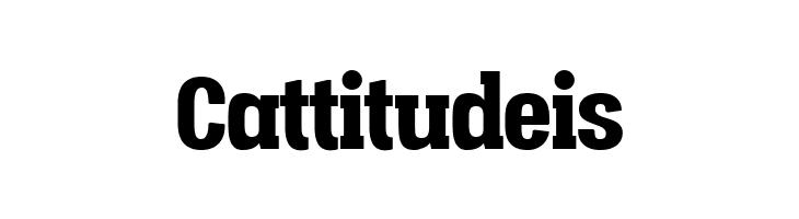 Vacer Serif Personal Black  Free Fonts Download