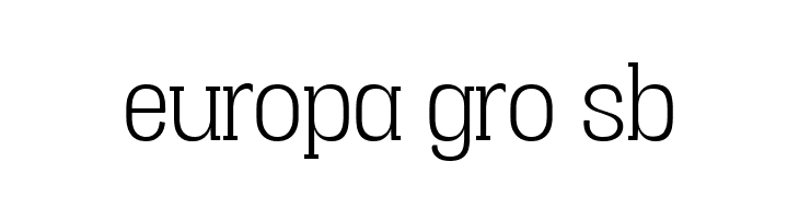 Vacer Serif Personal Light  Free Fonts Download