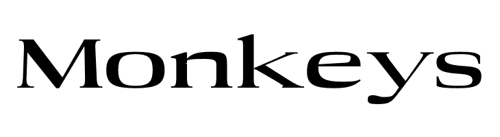 Adon Black    Free Fonts Download