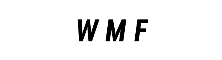 Fragua Bold Italic  Free Fonts Download
