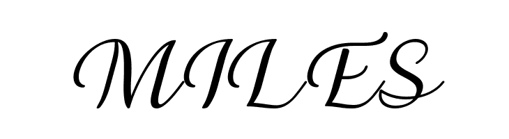 Briany Italic  Free Fonts Download