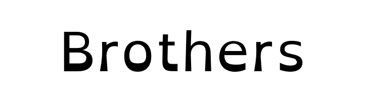 OpenDyslexic  Free Fonts Download