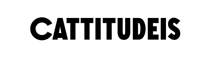 SONGERGrotesque-Heavy  Free Fonts Download