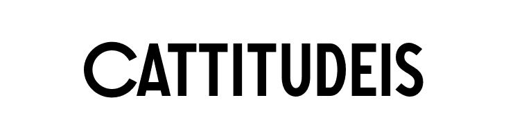 SONGERGrotesque-Medium  Free Fonts Download