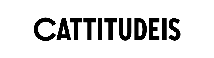 SONGERGrotesque-Bold  Free Fonts Download