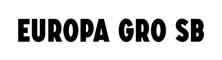 SONGERCondensed-Heavy  Free Fonts Download
