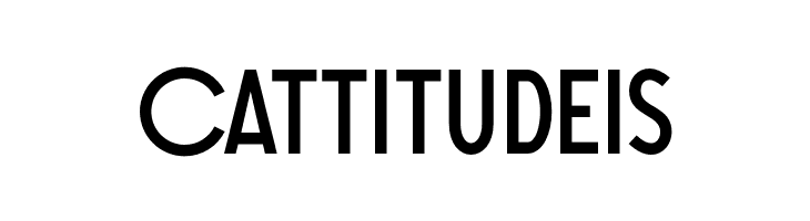 SONGERGrotesque  Free Fonts Download