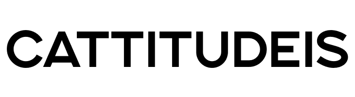 SONGERSemiExpanded-Bold  Free Fonts Download