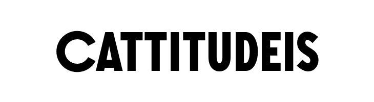 SONGERGrotesque-ExtraBold  Free Fonts Download