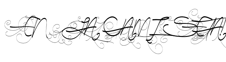 Turn Back Time  Free Fonts Download