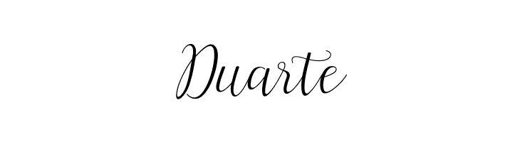 ArtillaScript  Free Fonts Download