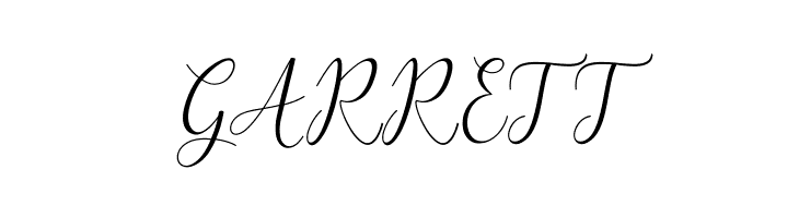 ArtillaScript  Free Fonts Download