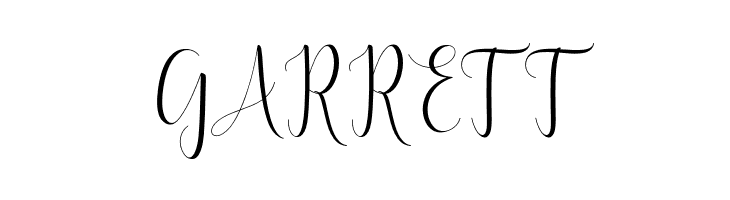 DelightScript  Free Fonts Download