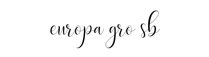 DelightScript  Free Fonts Download