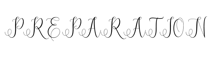 ErittaScript  Free Fonts Download