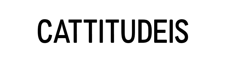 FFF Light  Free Fonts Download